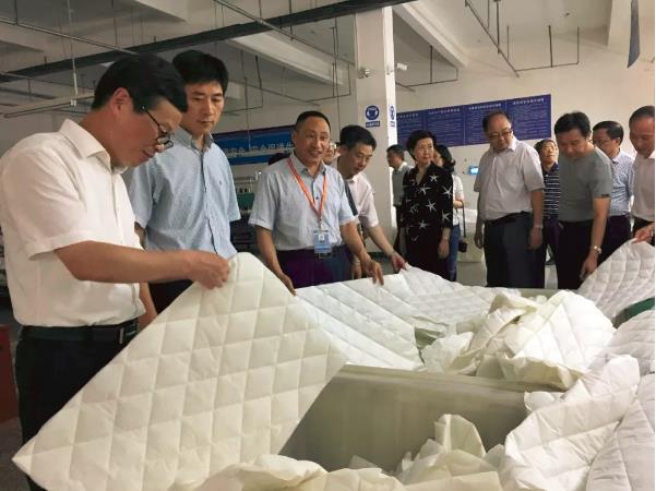太湖县党政代表团来鸿润公司考察工作