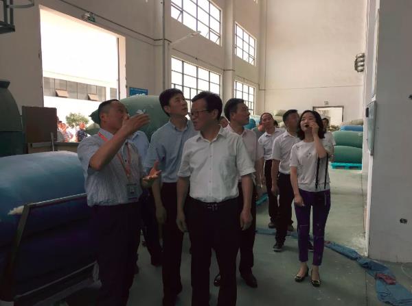 太湖县党政代表团来鸿润公司考察工作